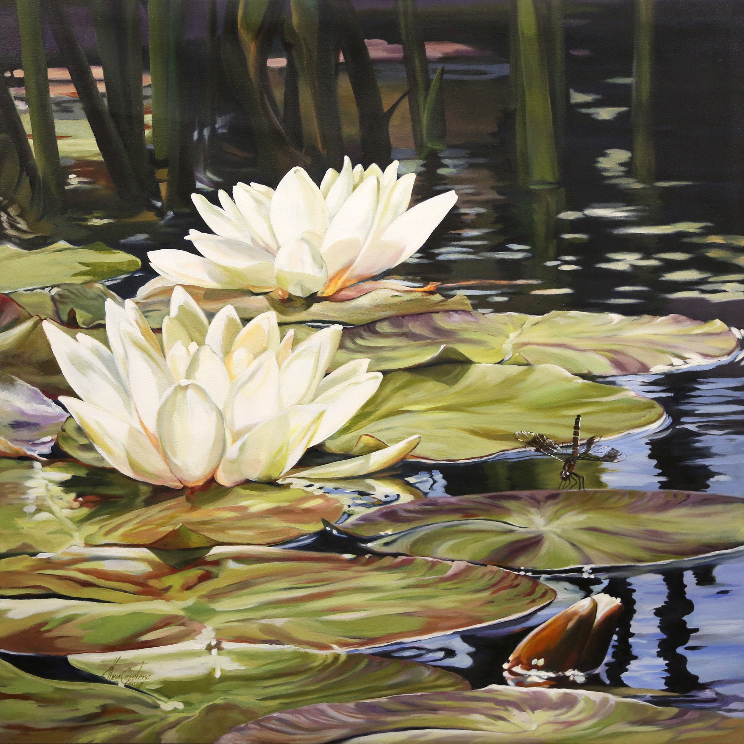 Dragonfly Lilies