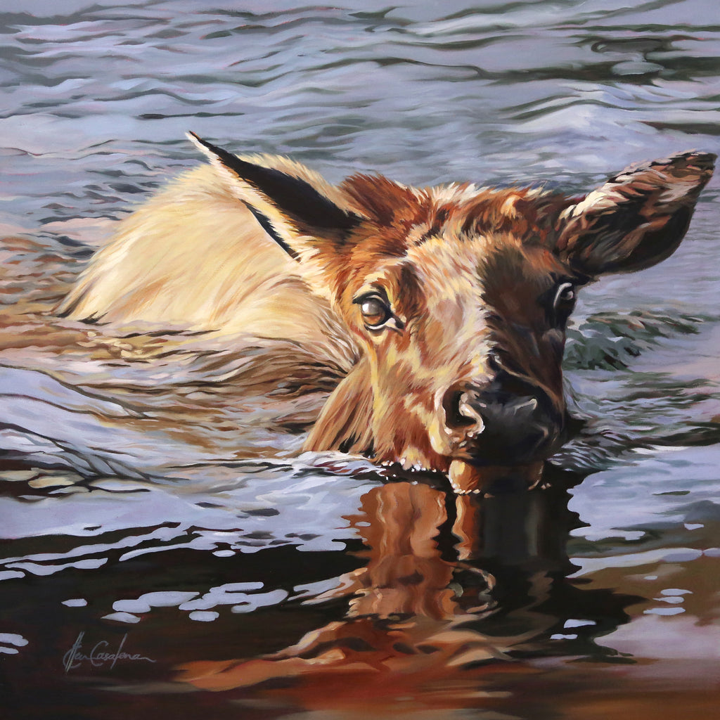 Elk Calf - Canon Beach