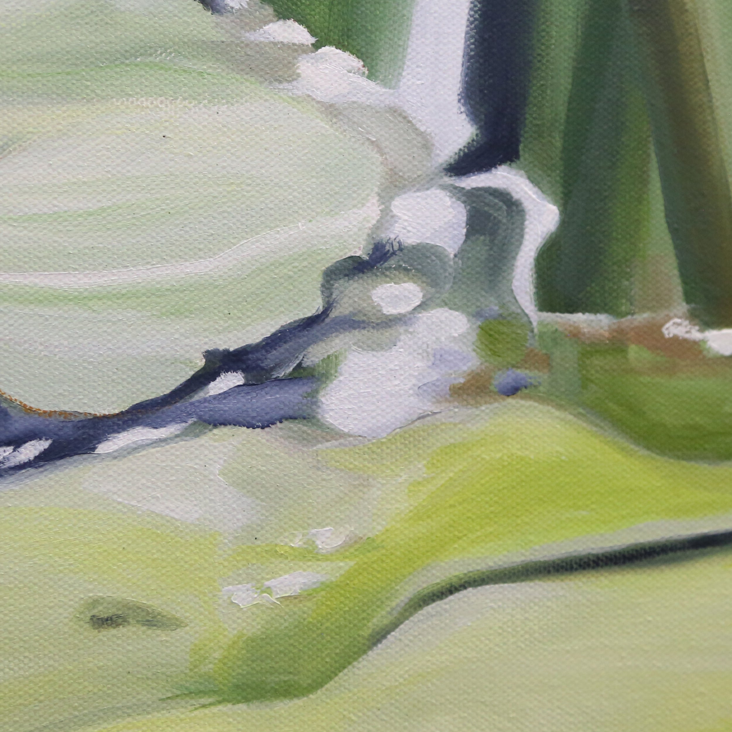 White Water Lilies
