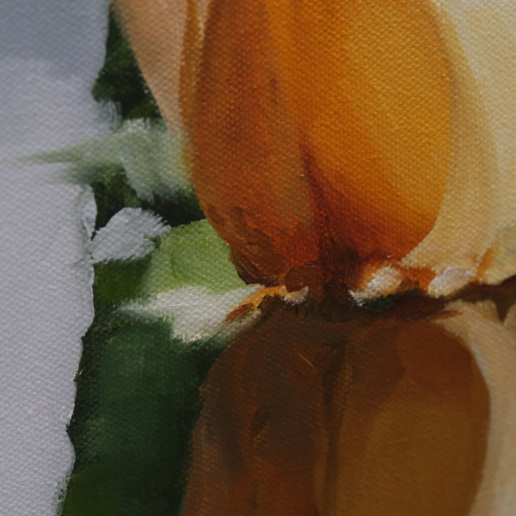 White Water Lilies