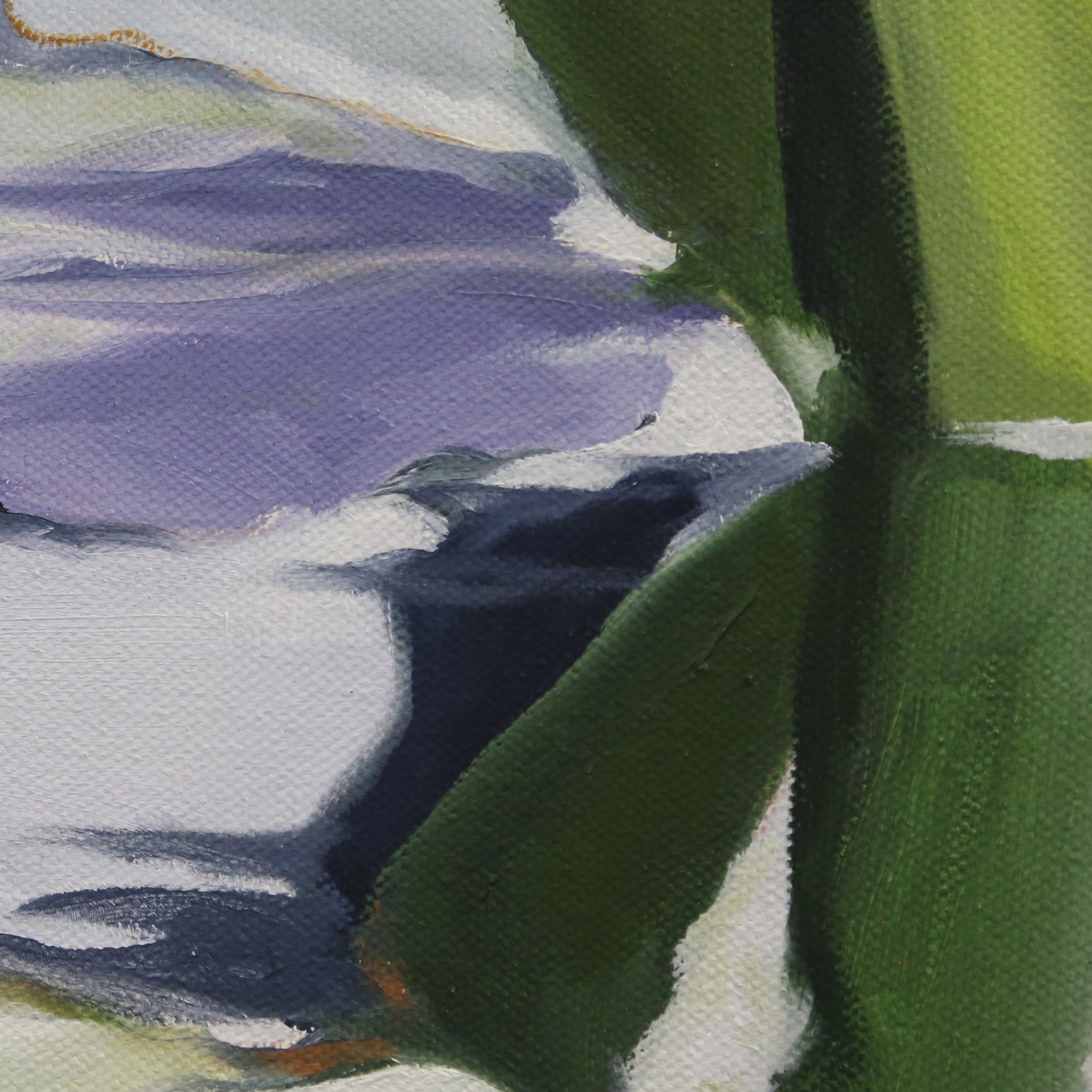 White Water Lilies