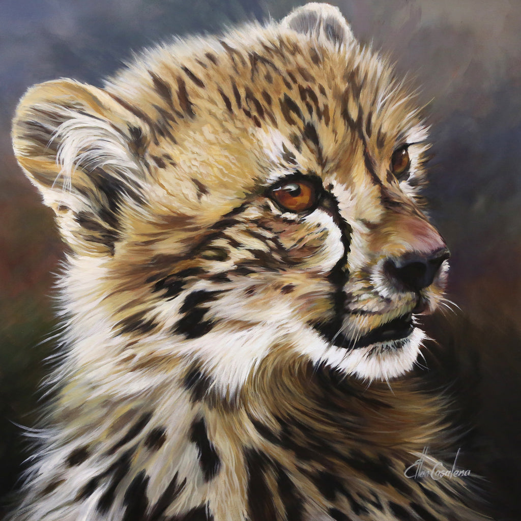 Cheetah Cub
