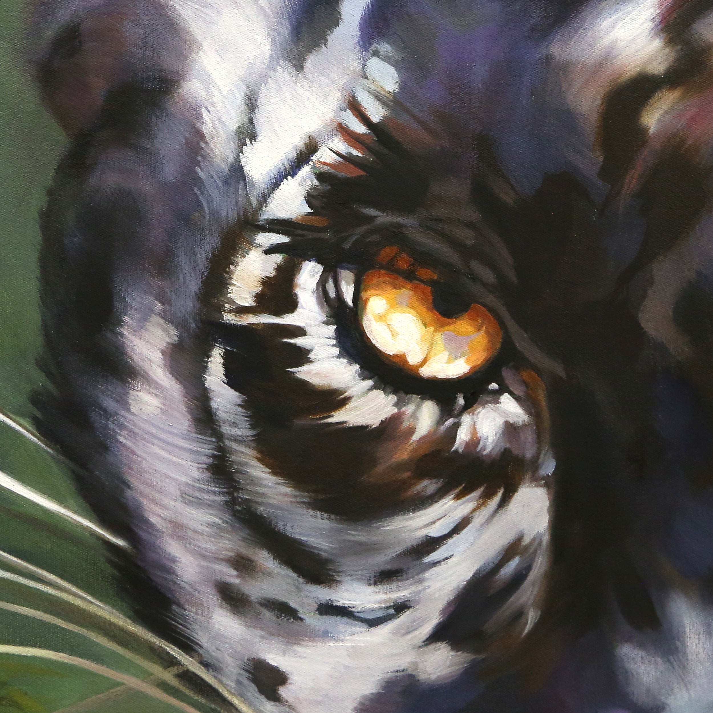 Black Leopard