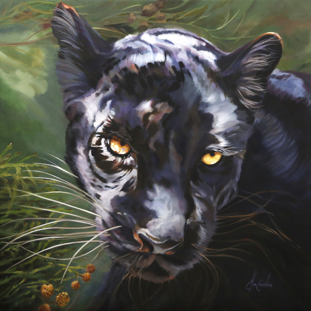 Black Leopard