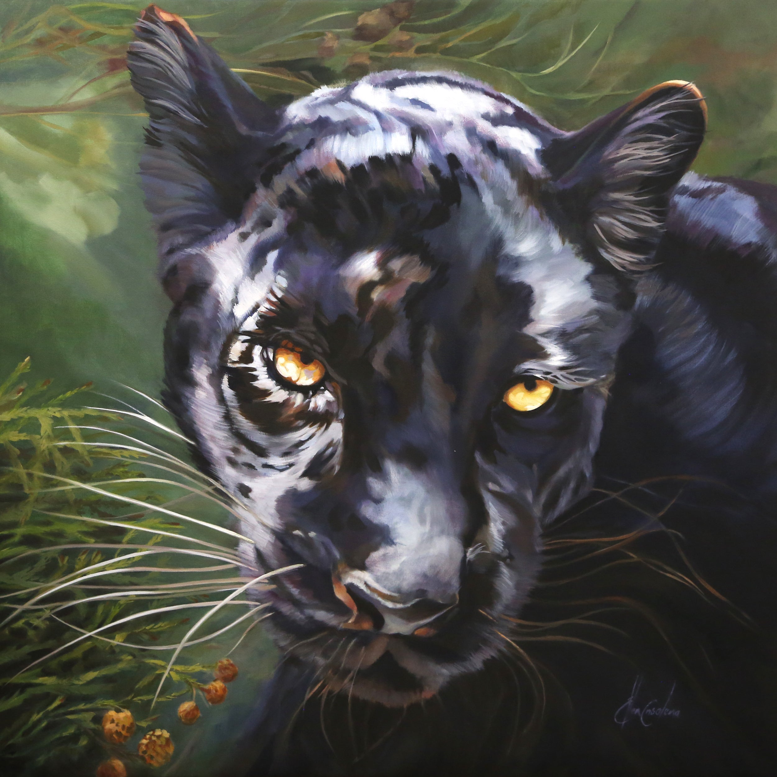 Black Leopard