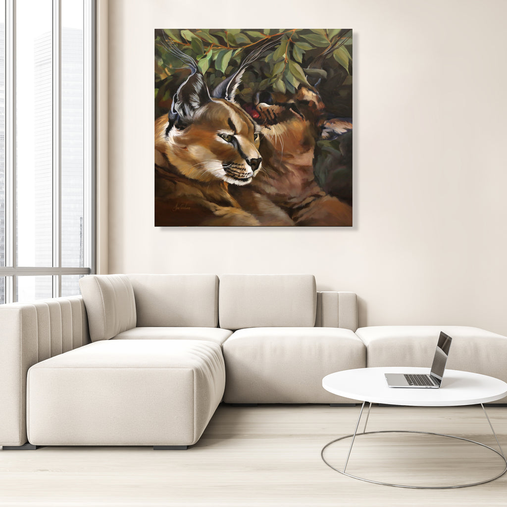 Caracal Love