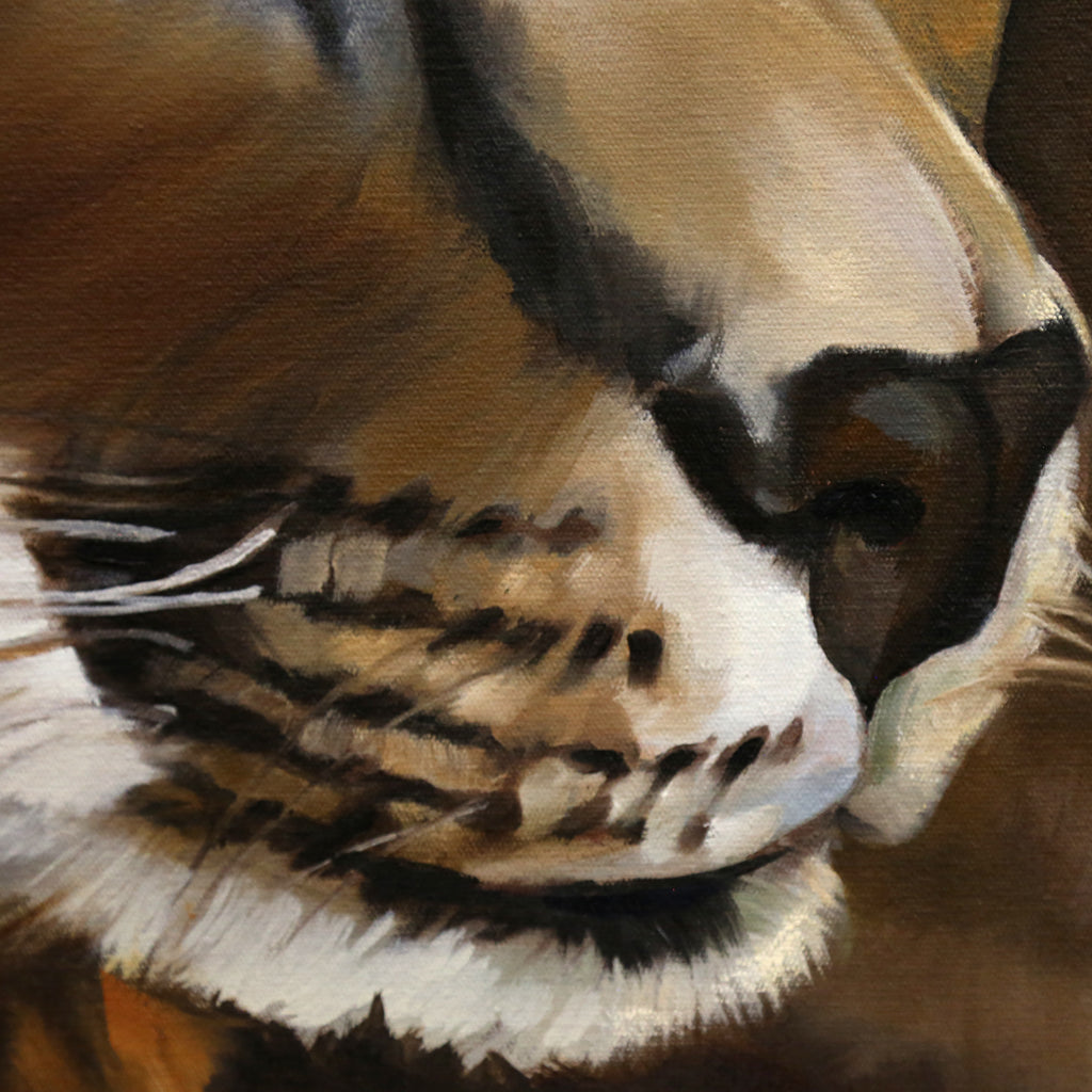 Caracal Love