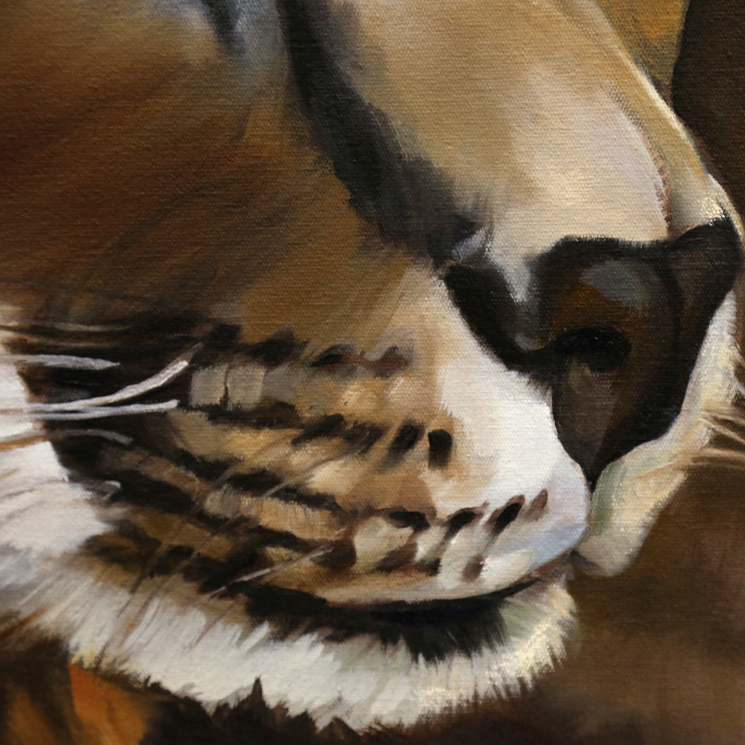 Caracal Love
