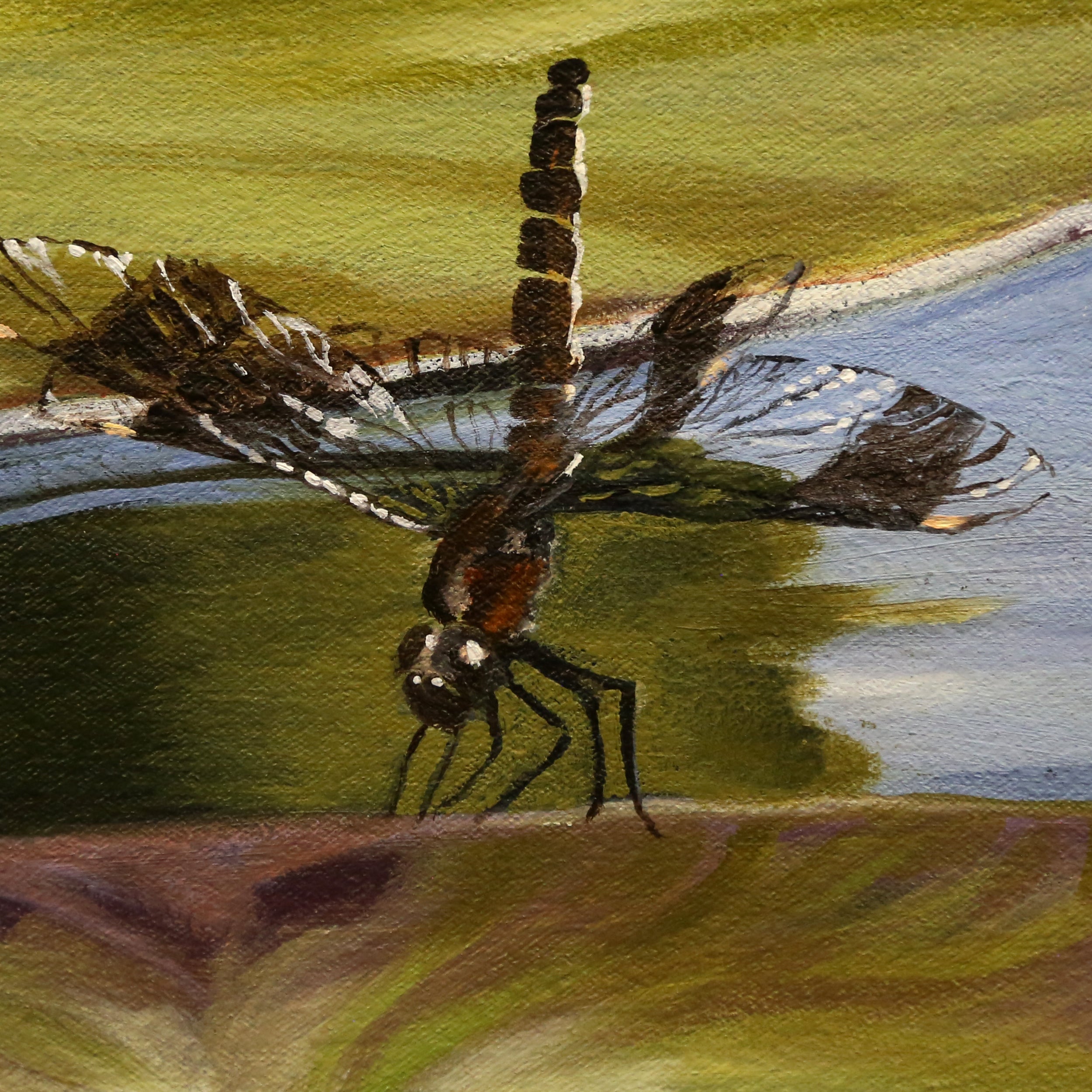 Dragonfly Lilies