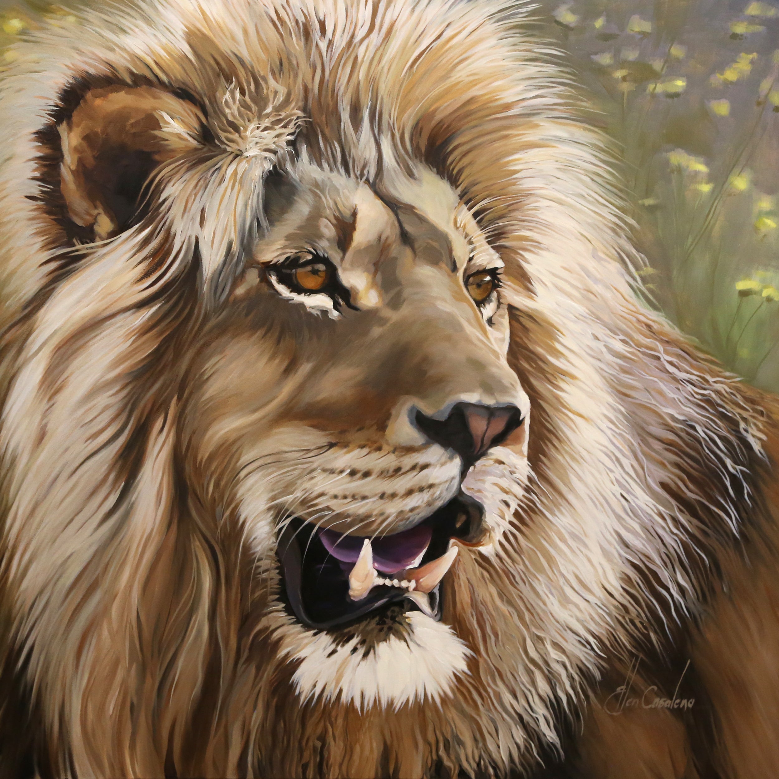 Hungry Lion
