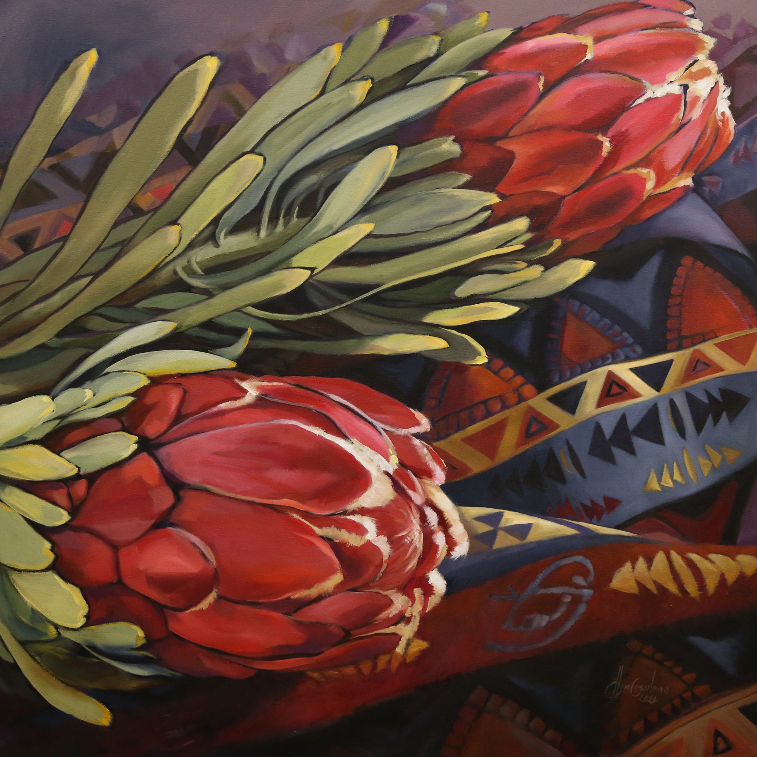 Proteas for Africa