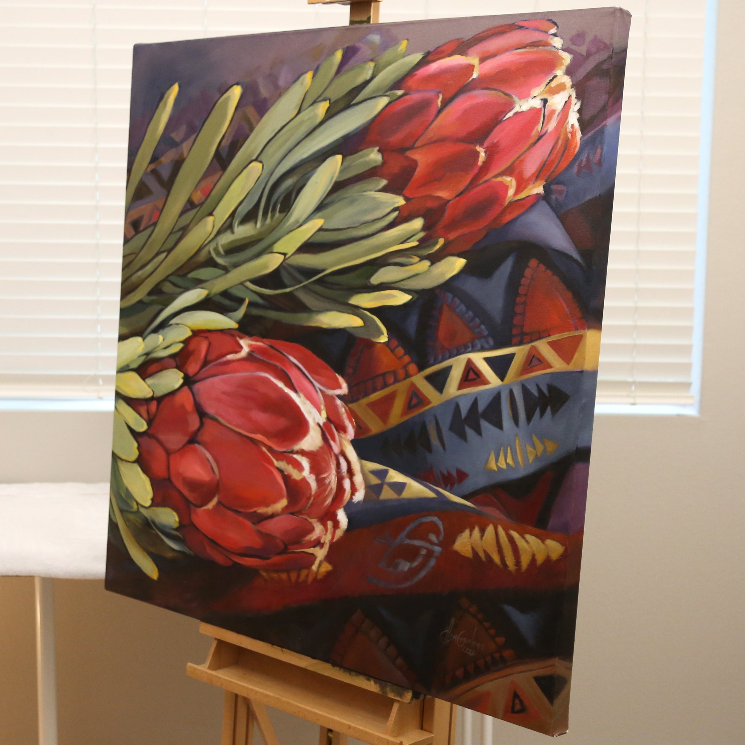 Proteas for Africa