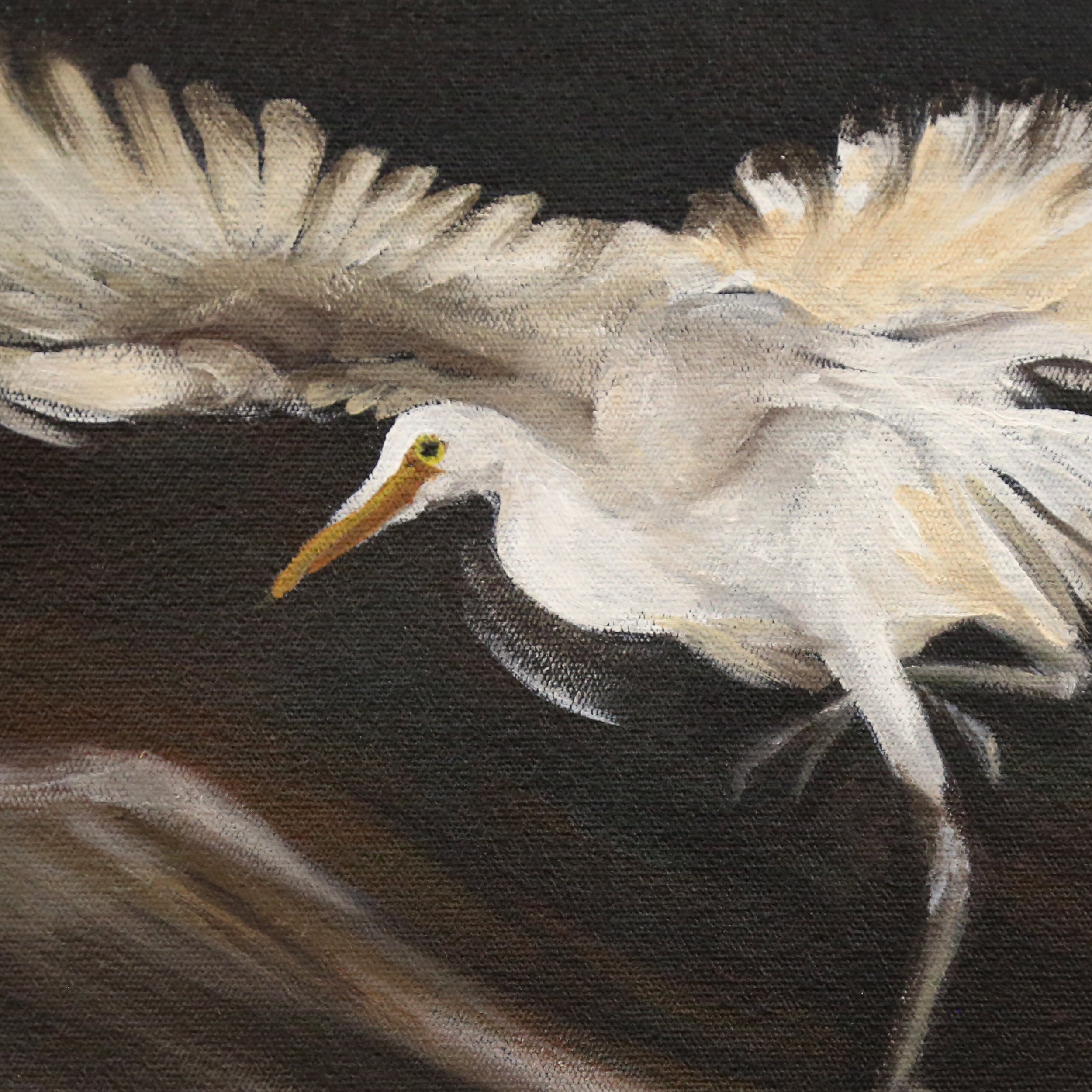 Rhino with Egrets
