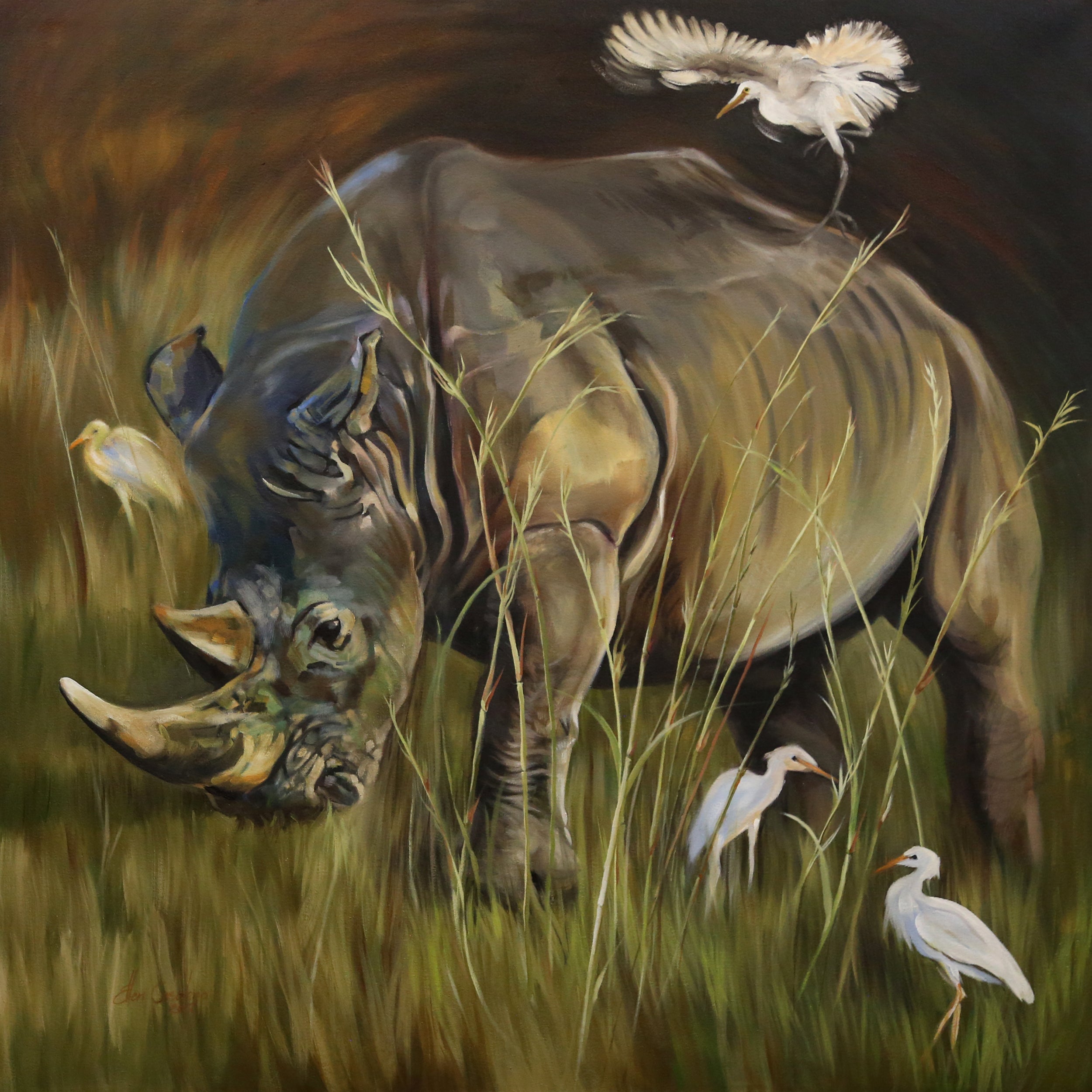 Rhino with Egrets