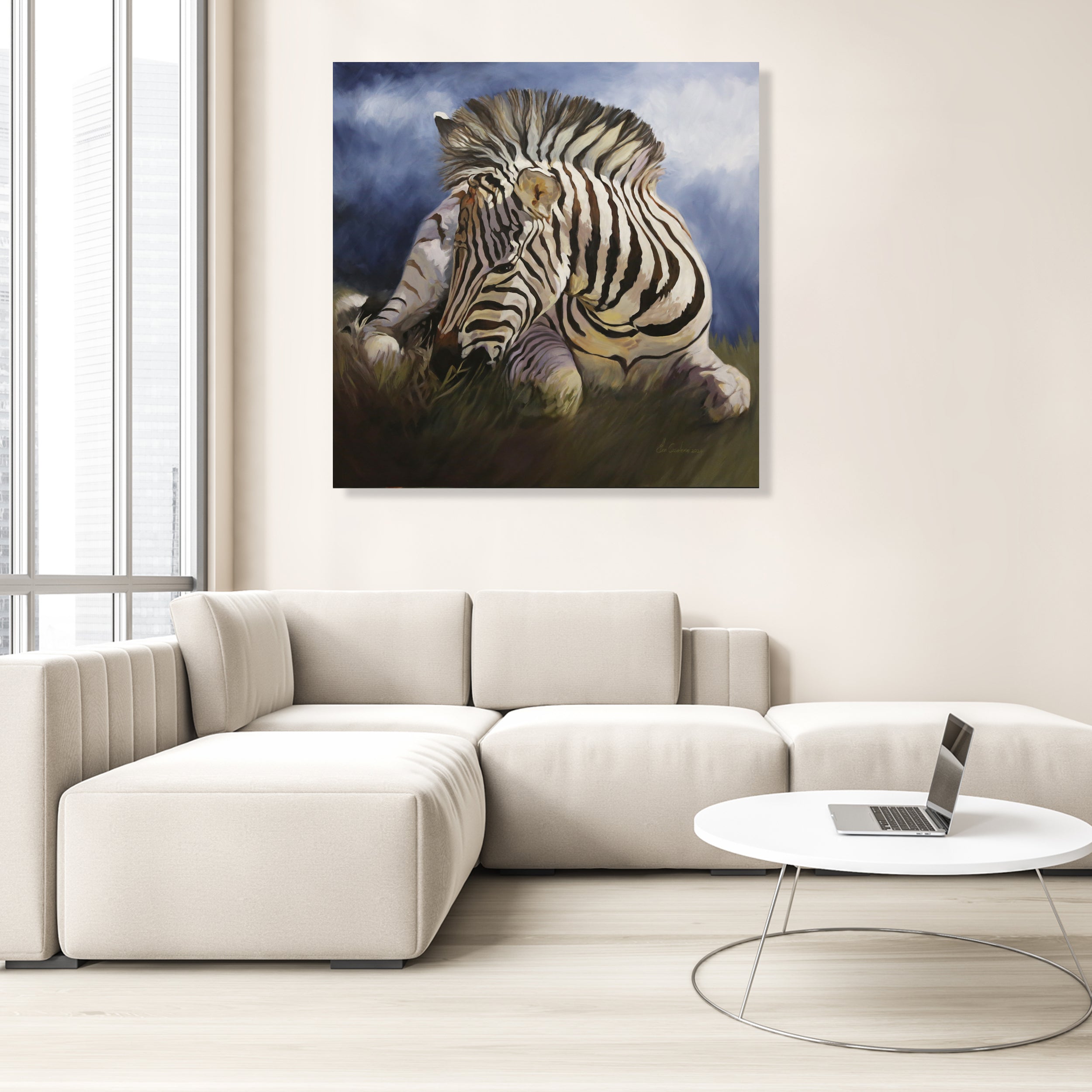 Baby Zebra Waiting For The Storm