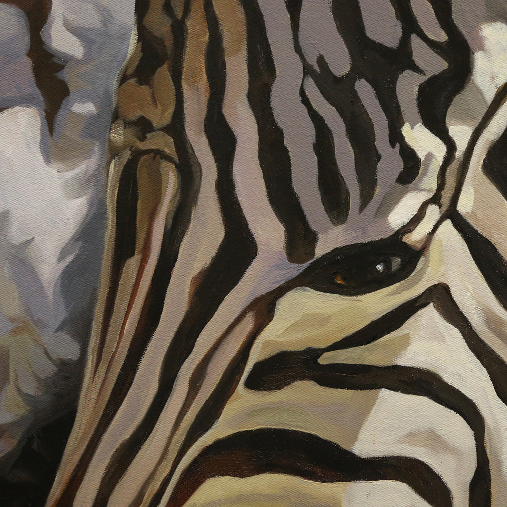 Baby Zebra Waiting For The Storm