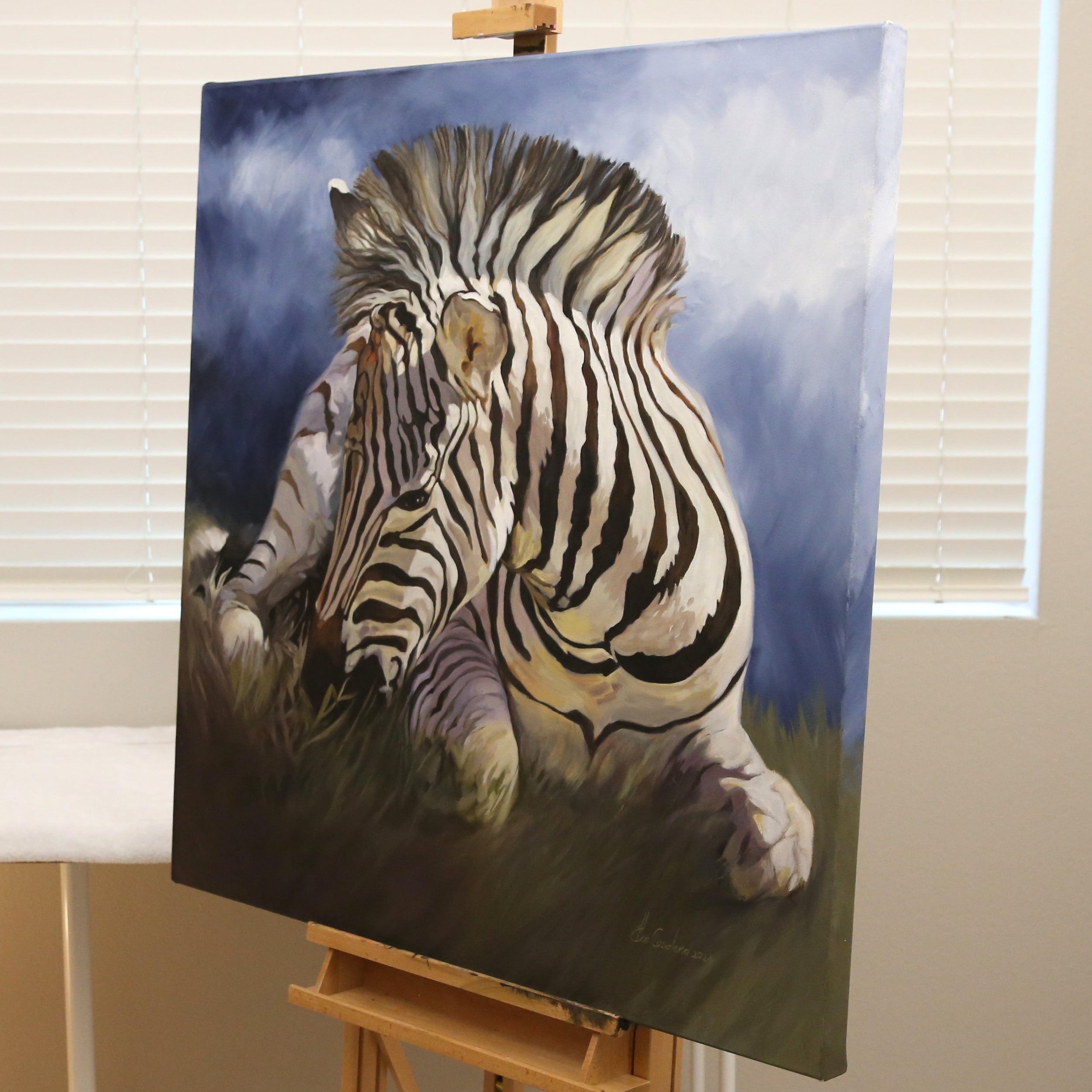 Baby Zebra Waiting For The Storm