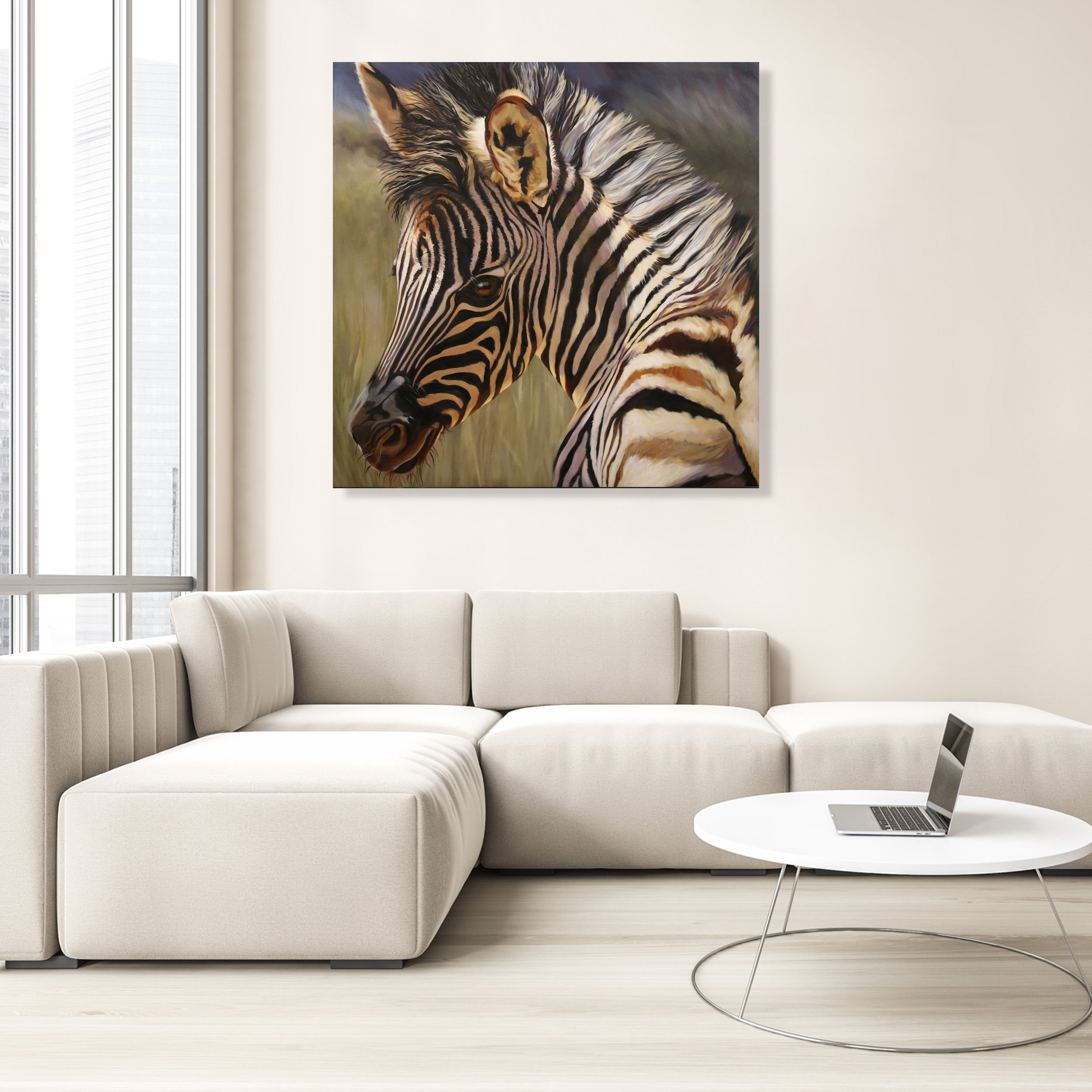 It's a Wonderful World  - Baby Zebra