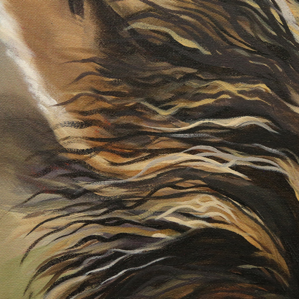 It's a Wonderful World  - Baby Zebra
