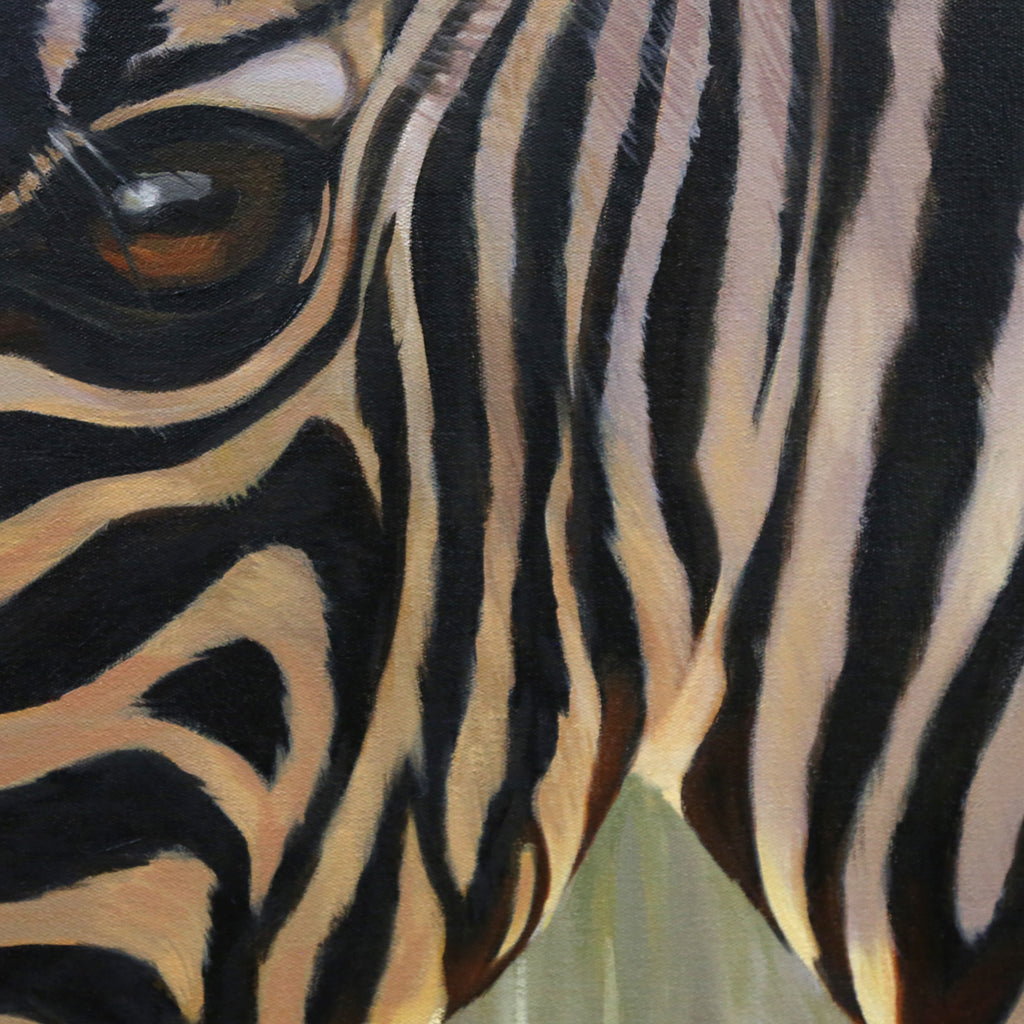 It's a Wonderful World  - Baby Zebra