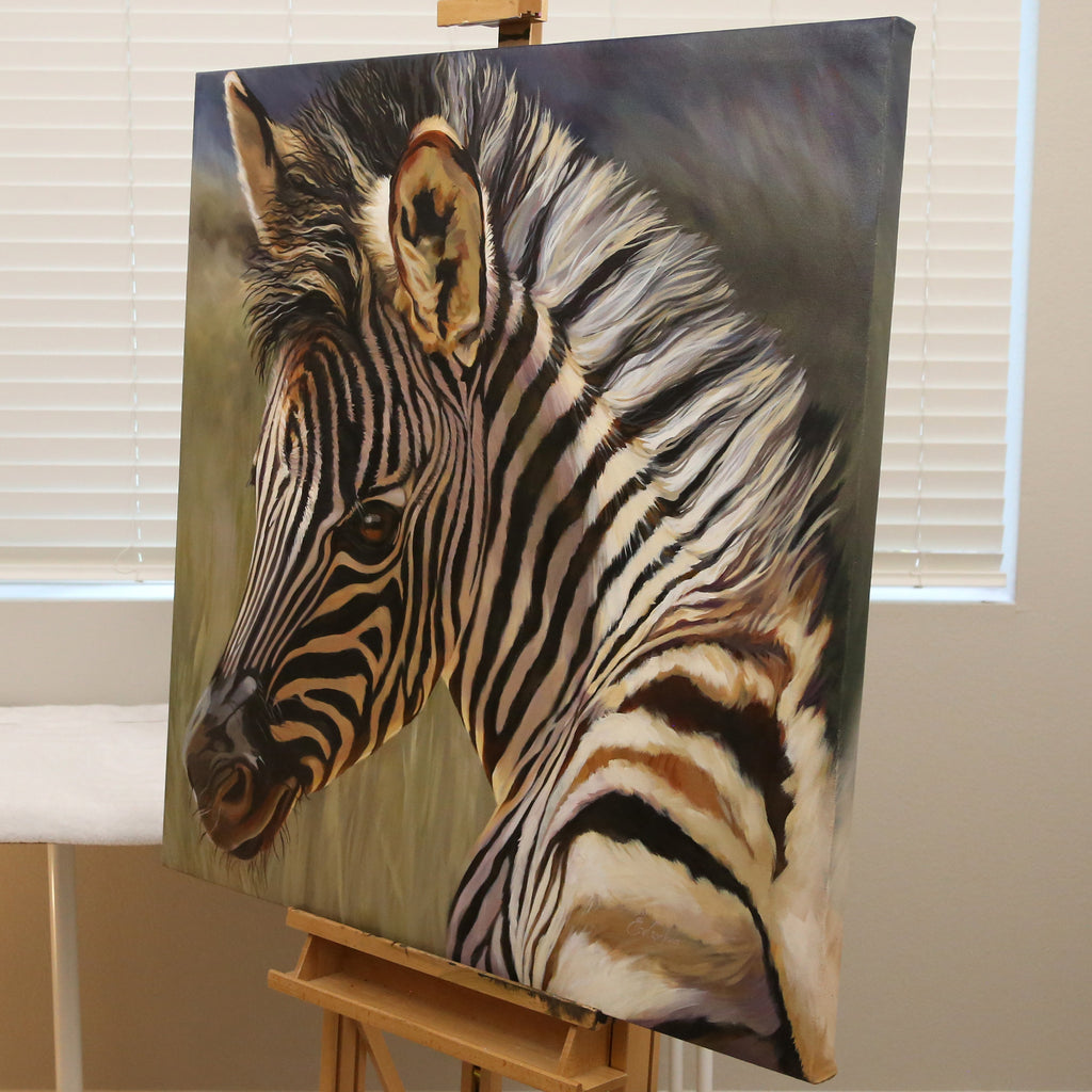 It's a Wonderful World  - Baby Zebra